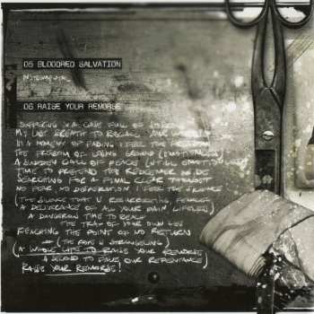 CD Fall Of Serenity: Bloodred Salvation