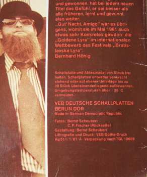 LP Familie Silly: Tanzt Keiner Boogie?