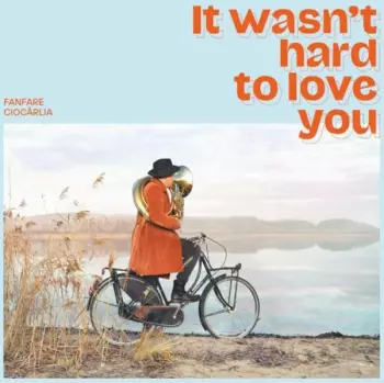 It Wasn't Hard To Love You