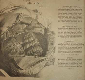 LP Farsot: Insects LTD