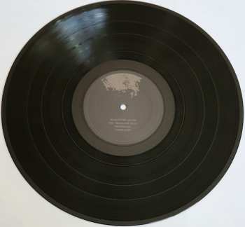 LP Farsot: Insects LTD