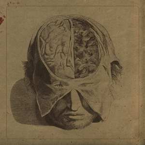 LP Farsot: Insects LTD