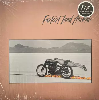 Fastest Land Animal: Fastest Land Animal