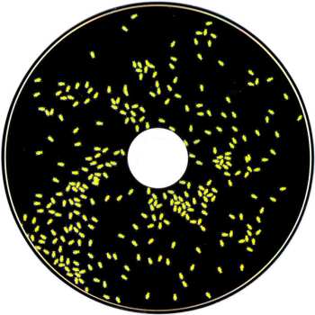 CD FAT32: Fat32