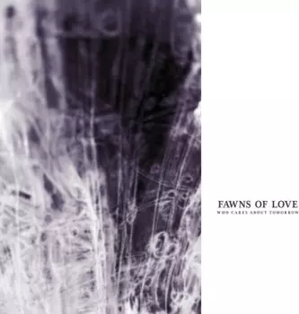 Fawns Of Love: Who Cares About Tomorrow