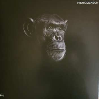 Album Felsmann + Tiley: Protomensch