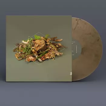 Fergus McCreadie: Forest Floor
