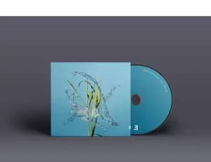Fergus McCreadie: Stream