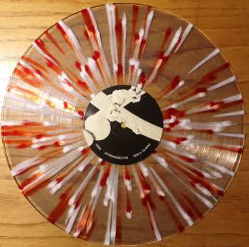LP Fern: Intersubjective CLR | LTD
