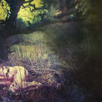 Album Final: The Apple Never Falls Far From The Tree