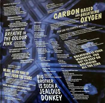 2LP Flat Earth Society: Boggamasta III