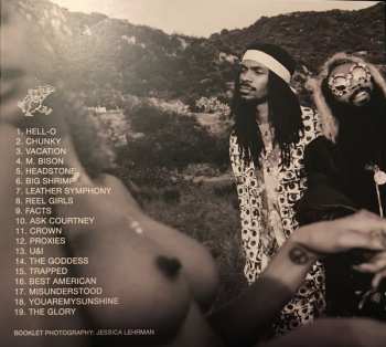 CD Flatbush Zombies: Vacation In Hell