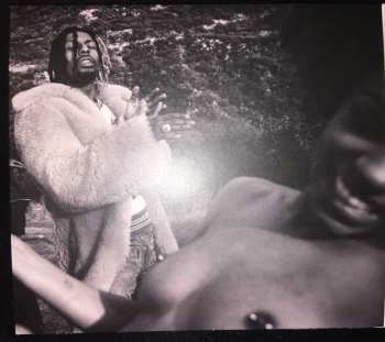 CD Flatbush Zombies: Vacation In Hell