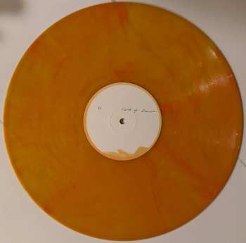 2LP Flock Of Dimes: The Life You Save CLR | LTD