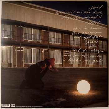 2LP Flock Of Dimes: The Life You Save CLR | LTD