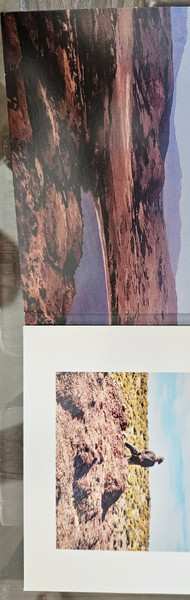 CD Florent Pagny: Grandeur Nature  CLR