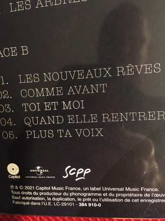 LP Florent Pagny: L'avenir