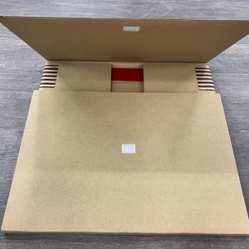 LP/Caja Flower Travellin' Band: Made In Japan LTD