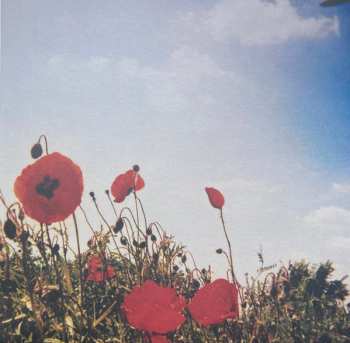 Album Fluisteraars: Bloem