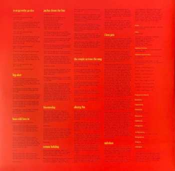 LP Fontaines D.C.: Skinty Fia