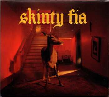 CD Fontaines D.C.: Skinty Fia