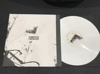 LP Forceed: Ivory Marsh