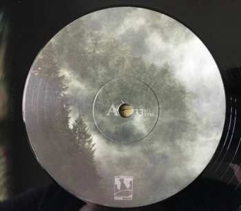 LP Foxing: The Albatross 