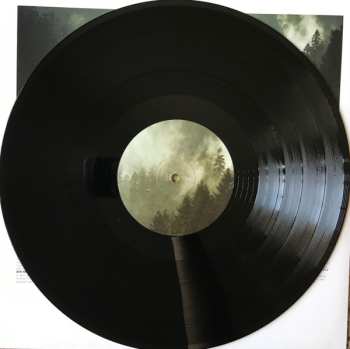 LP Foxing: The Albatross 