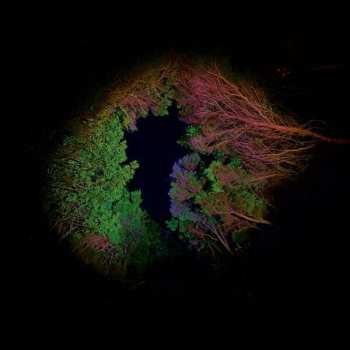 Album Francisco Lopez: Hidden Island Music (Untitled #398)