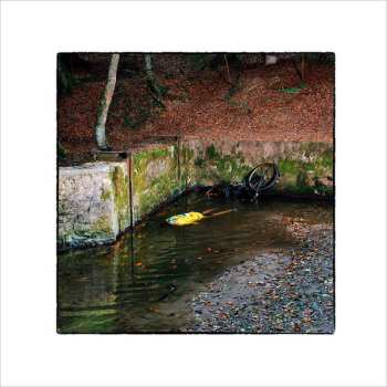 Album Franck Vigroux: Totem