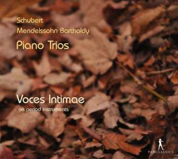 2CD Franz Schubert: Voces Intimae - Piano Trios