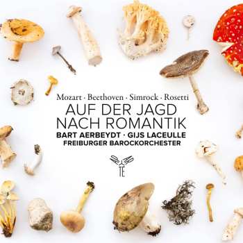 Album Freiburger Barockorche...: Auf Der Jagd Nach Romantik