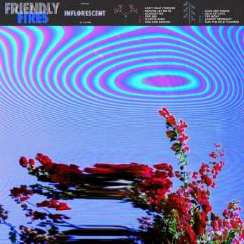 Album Friendly Fires: Inflorescent