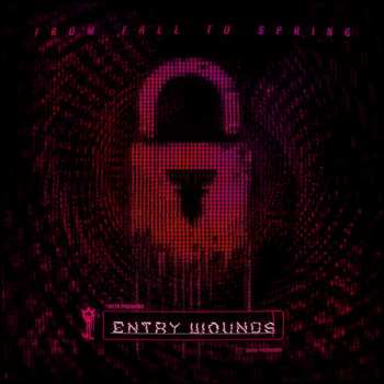 CD From Fall To Spring: Entry Wounds