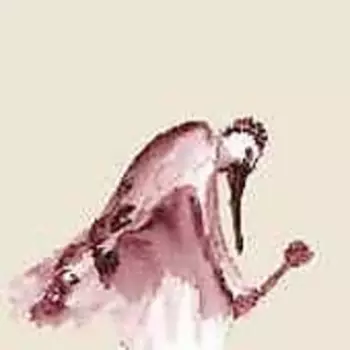 Habitats In The Wound