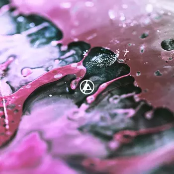 Álbum Linkin Park: From Zero