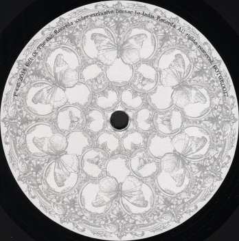 LP Gabby Young & Other Animals: One Foot In Front Of The Other