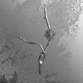 CD Gaia Banfi: La Maccaia