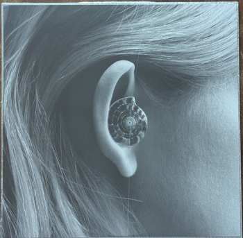 LP Gaia Banfi: La Maccaia