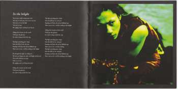 CD Galneryus: The Flag Of Punishment