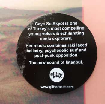 LP Gaye Su Akyol: İstikrarlı Hayal Hakikattir