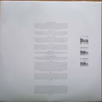 LP Gazelle Twin: The Entire City CLR