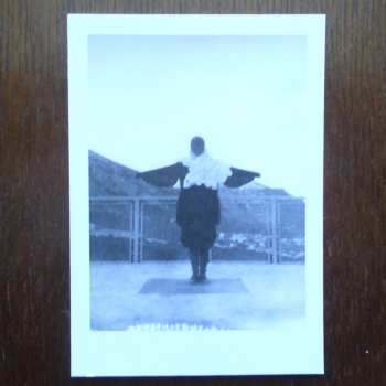 LP Gazelle Twin: The Entire City CLR