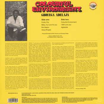 LP Gboyega Adelaja: Colourful Environment
