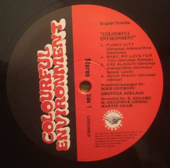 LP Gboyega Adelaja: Colourful Environment