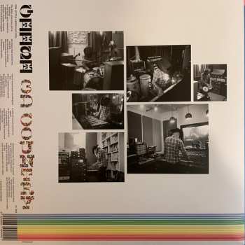 LP Geese: 3D Country