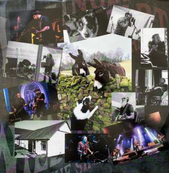 LP Ginger: Ginger Wildheart & The Sinners CLR