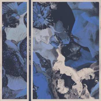 CD Girls In Airports: Dive DIGI