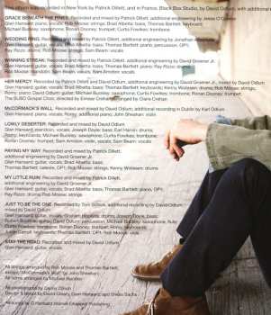 LP Glen Hansard: Didn't He Ramble 