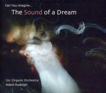 Album Adam Rudolph: Can You Imagine… The Sound Of A Dream